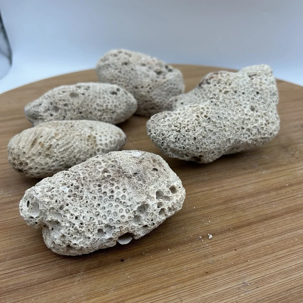 5 Pieces Coral Rocks Rare Vintage Ocean Stone Saltwater Fish Tank Aquarium Decor